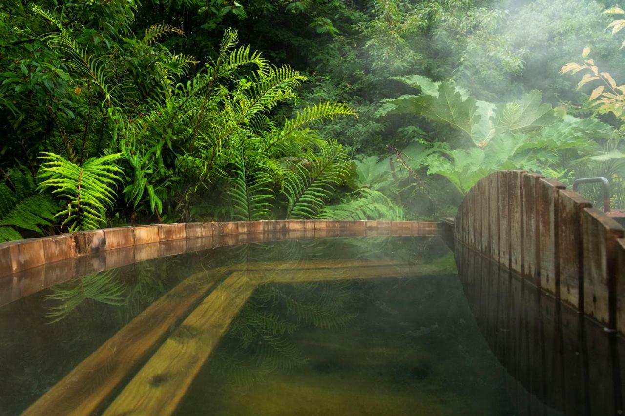 Petrohue Lodge Ngoại thất bức ảnh